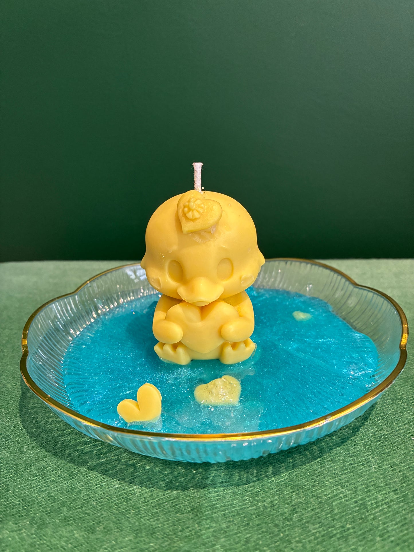 Cute Duck in Water