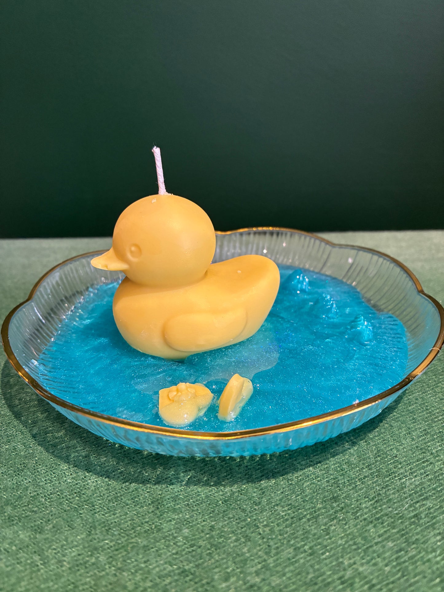 Cute Duck in Water